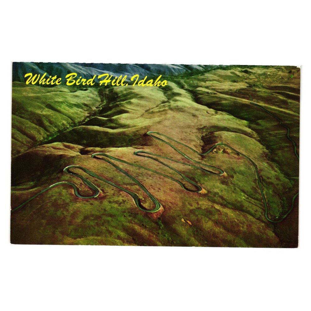 Vintage White Bird Hill Idaho Postcard By Mike Roberts Roadside Travel Ariel ID